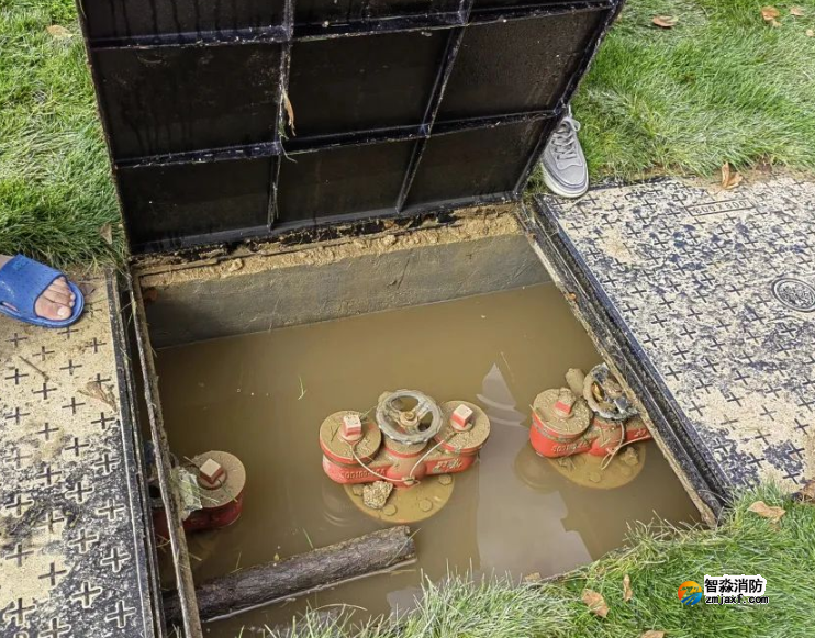 1739323047788995.png image.png